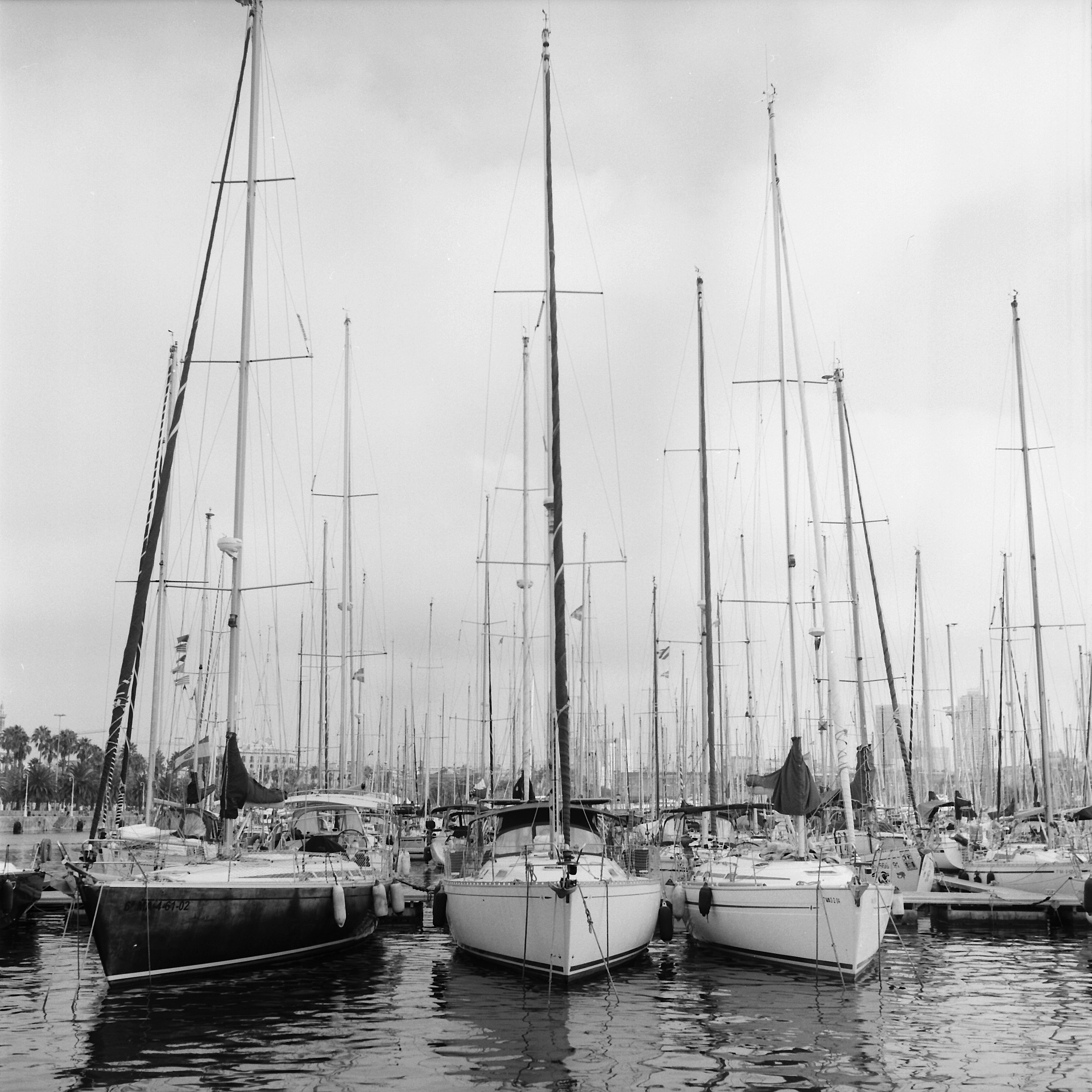 BARCA-02